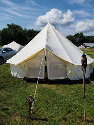 Adirondack Safari by null