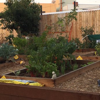 motor ave community garden - Community Gardens Near Me - Los Angeles, California