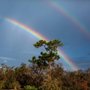 Photo of Lakeland Highland Scrub