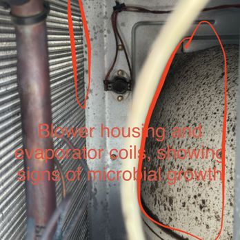 Tr Services - Heating & Air Conditioning/HVAC Near Me - Auburn, Georgia Tr Services - Heating & Air Conditioning/HVAC Near Me - Auburn, Georgia