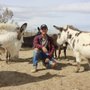 Photo of Sanctuary at Soledad Goats