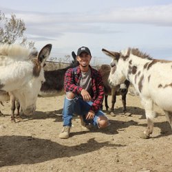 Sanctuary at Soledad Goats - Affectionate Donkeys