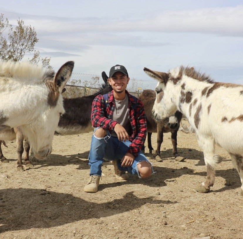 SANCTUARY AT SOLEDAD GOATS Updated July 2024 24 Photos 6501