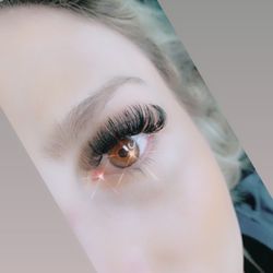 Prevoir Studio - Hybrid lashes