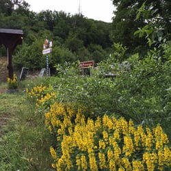 Landgasthof Wiesenmühle - Beautiful countryside