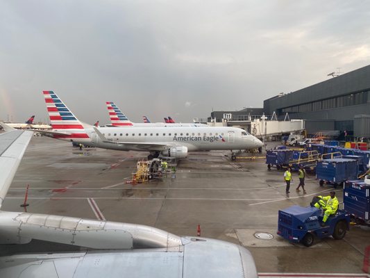 American Airlines by null