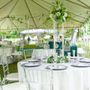 Photo of Divine Events To Treasure