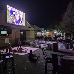 Buffalo Hirsch - Huge screen for huge patio