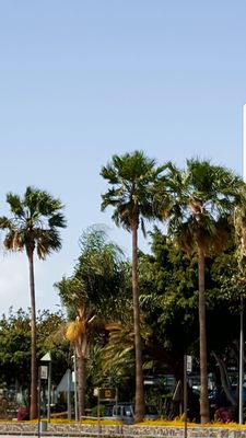 Tenerife South Airport by null