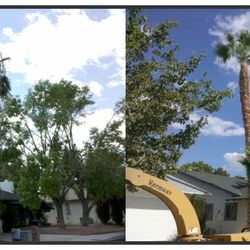 Henrie Tree Service