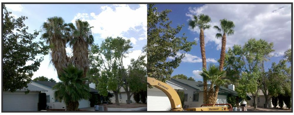 Henrie Tree Service - tree service in Las Vegas, NV