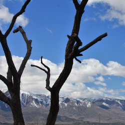 The Orchards at Kolob RV Resort