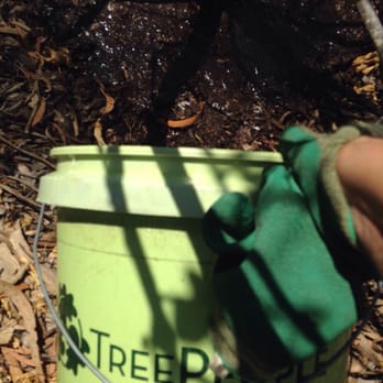 TreePeople - Watering the trees at TreePeople. - Community Service/Non-Profit Near Me - Beverly Hills, California TreePeople - Watering the trees at TreePeople. - Community Service/Non-Profit Near Me - Beverly Hills, California