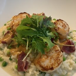 Scallop risotto - excellent Scallop risotto - excellent