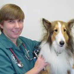 Farmington Animal Hospital