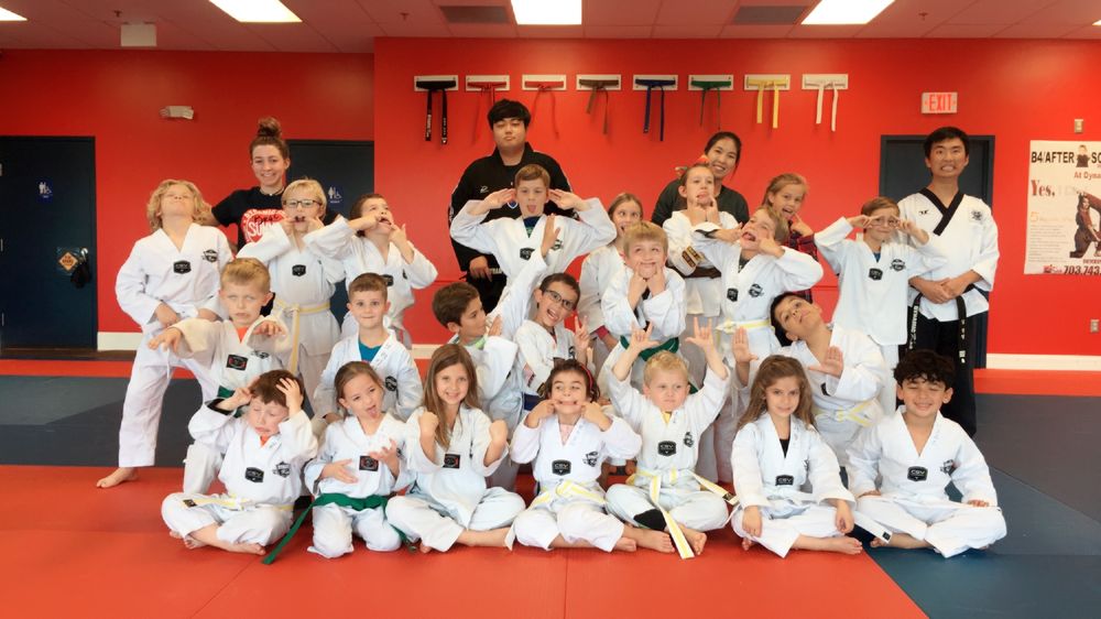 Dynamic Kick Martial Arts - Haymarket Logo