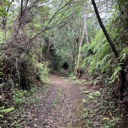 Ahupuaʻa o Kahana State Park