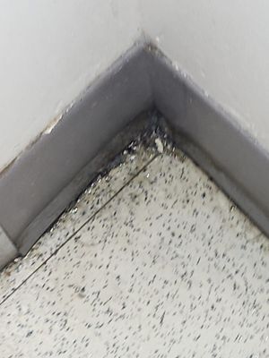 Ricmor Professionals