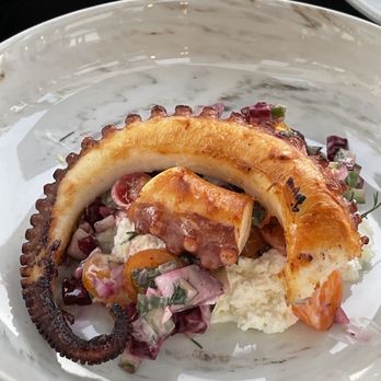 Tallulah Wine Bar and Bistro - octopus - New American Near Me - Birmingham, Michigan Tallulah Wine Bar and Bistro - octopus - New American Near Me - Birmingham, Michigan