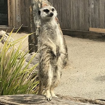 Symbio Wildlife Park - Zoos Near Me - Helensburgh, NSW