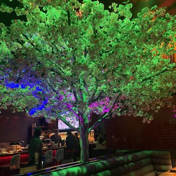 Blackbird Modern Asian - Bars Near Me - Jupiter, Florida