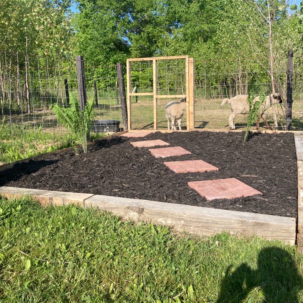 JMJ Landscaping - Flowerbed with railroad ties for perimeter and ferns to make the appearance of the bed more lively. - Landscaping Near Me