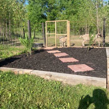 JMJ Landscaping - Flowerbed with railroad ties for perimeter and ferns to make the appearance of the bed more lively. - Landscaping Near Me JMJ Landscaping - Flowerbed with railroad ties for perimeter and ferns to make the appearance of the bed more lively. - Landscaping Near Me