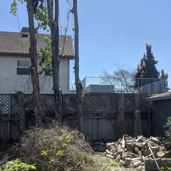 Specialty Tree Service - Tree Services Near Me