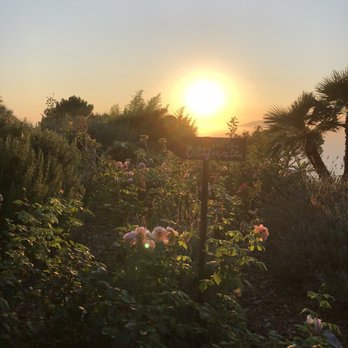 Hotel Caesar Augustus - Venues & Event Spaces Near Me - Anacapri, NA Hotel Caesar Augustus - Venues & Event Spaces Near Me - Anacapri, NA