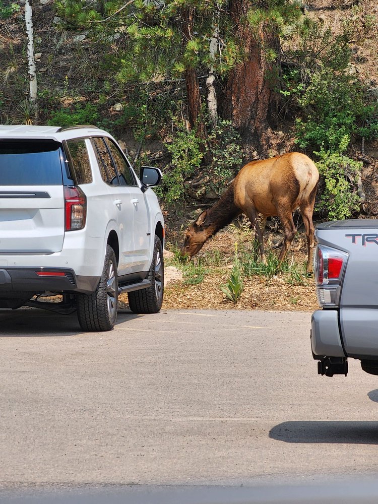 EVERGREEN GOLF COURSE Updated October 2024 19 Photos & 30 Reviews