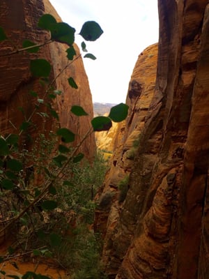 Moab Desert Adventures by null