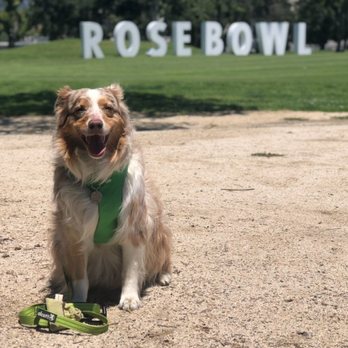 Brookside Park - Rose Bowl Loop Track near Brookside Park - Parks Near Me - Pasadena, California