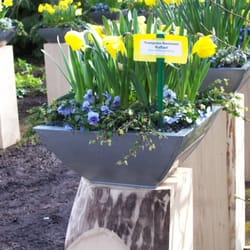 Kreislehrgarten - Narzissenfest