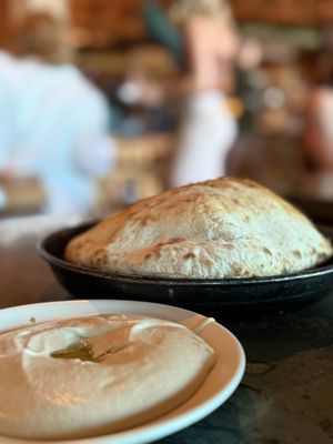 Élephante Scottsdale by null