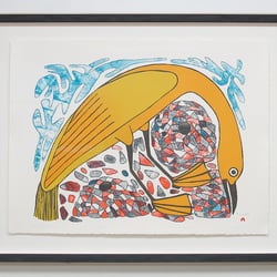 KENT Picture Framing - Kenojuak Ashevak
