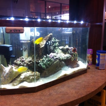 Pho Le 777 - salt water aquarium in the store great for kids and even adults - Vietnamese Near Me - Clovis, California