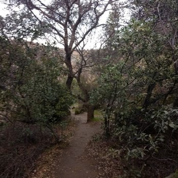 Stebbins Cold Canyon Loop Trail - Hiking Near Me - Winters, California