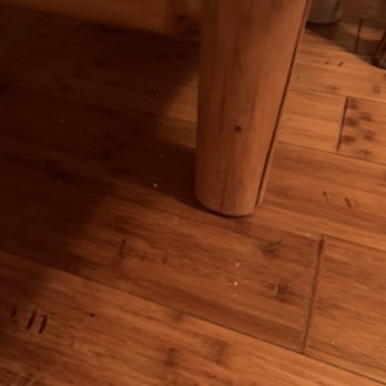Izaak Walton Restaurant - Crumbs and cheese on floor - Hotels Near Me - Essex, Montana