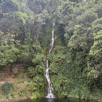 Centennial Gardens - Man-made, Centennial Waterfall - Botanical Gardens Near Me - Napier