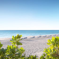 Pelican Grand Beach Resort