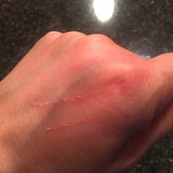 A Yuppy Puppy - My dogs nails were sharp like a knife! - Pet Groomers Near Me - Modesto, California A Yuppy Puppy - My dogs nails were sharp like a knife! - Pet Groomers Near Me - Modesto, California