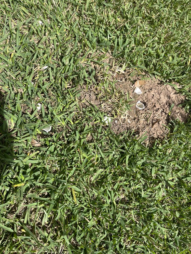 BABY GUARD POOL FENCE HOUSTON Updated September 2024 16 Photos