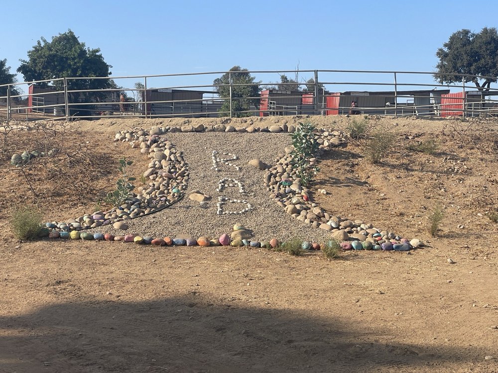 Ride Above Disability Logo