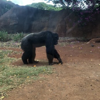 Honolulu Zoo - Zoos Near Me - Honolulu, Hawaii