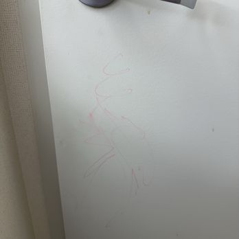 The Westin Boston Seaport District - Marker drawings all over bathroom door - Hotels Near Me - Boston, Massachusetts The Westin Boston Seaport District - Marker drawings all over bathroom door - Hotels Near Me - Boston, Massachusetts