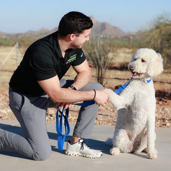 Bark Busters Home Dog Training Phoenix-Goodyear - Pet Training Near Me Bark Busters Home Dog Training Phoenix-Goodyear - Pet Training Near Me