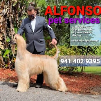 Alfonso's Mobile Grooming - Pet Groomers Near Me Alfonso's Mobile Grooming - Pet Groomers Near Me