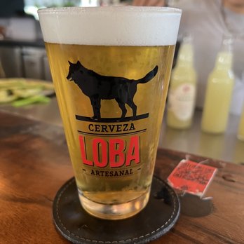 Loba - Beer. - Mexican Near Me - Guadalajara, JAL Loba - Beer. - Mexican Near Me - Guadalajara, JAL