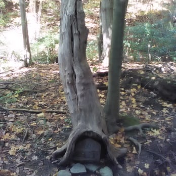 Frick Park - Parks Near Me - Pittsburgh, Pennsylvania Frick Park - Parks Near Me - Pittsburgh, Pennsylvania