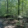 Photo of Carrleigh Parkway Park